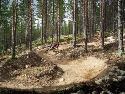 20210610 Tyttebærtrøkket Foto Lars Storheim