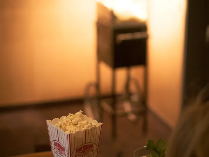 Skarsnuten Hotel Kino2
