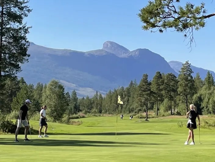 Original 315 C6 F03 FD18 45 DA AFA4 4 B6 F44646 DFB jpeg 002