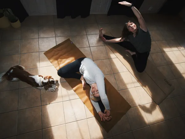Hemsedalyoga med to damer og en hund, på et steingulv.