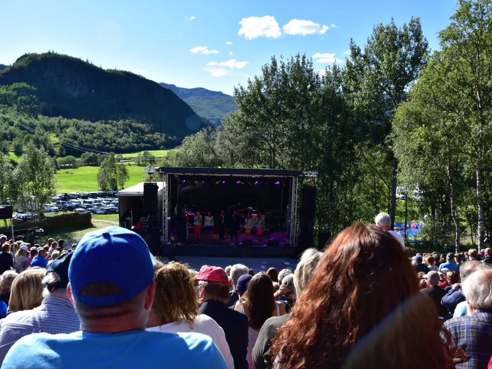 Faukivalen på tuv i Hemsedal