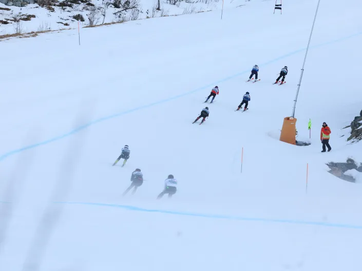 Hund 25 KH Race 186
