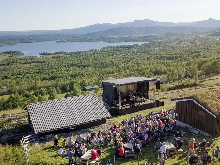 Konsert med masse mennesker