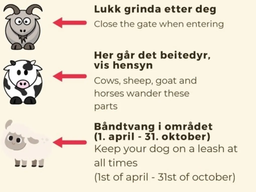 Enkle regler å følge: Lukk grinda etter deg, vis hensyn til beitedyr og båndtvang