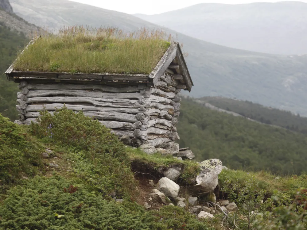 Nature 94 hemsedal TK 12 jpg