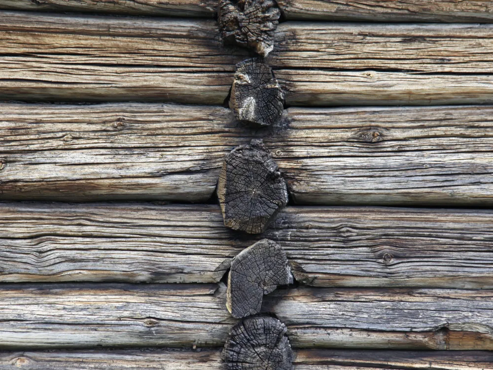 Nature 97 hemsedal TK 12 jpg