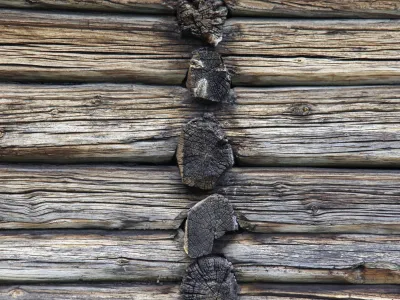 Nature 97 hemsedal TK 12 jpg