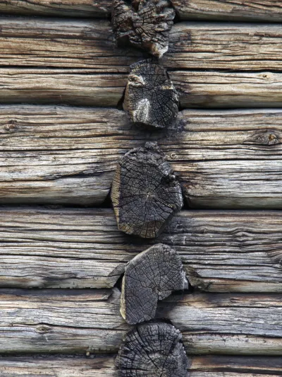 Nature 97 hemsedal TK 12 jpg