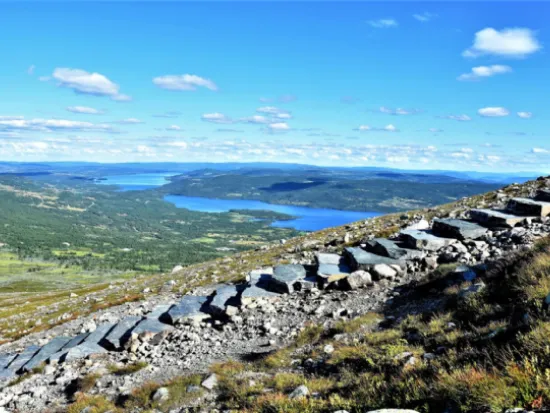 Bygd Trapp i fjellet
