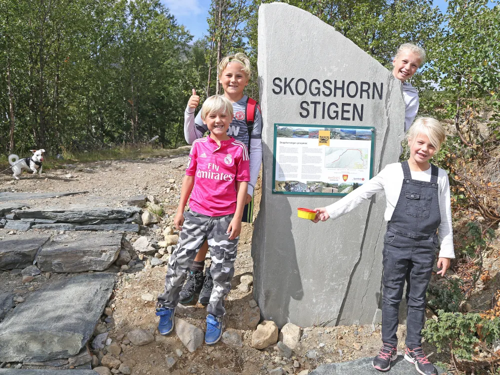 Glader barn som står ved skogshorn stigen