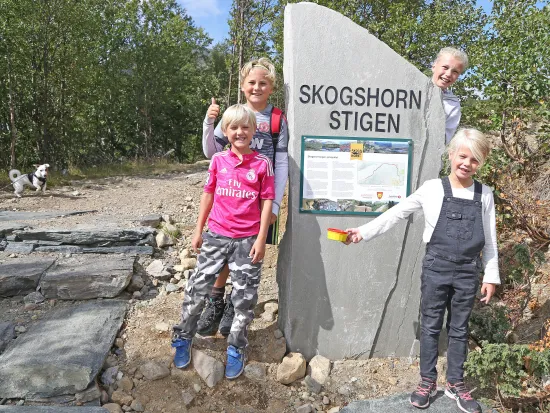 Glader barn som står ved skogshorn stigen