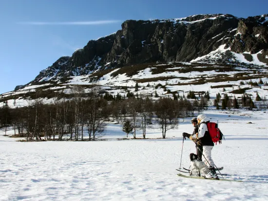 Utsikt over snødekte fjell, med to mennesker og en hund