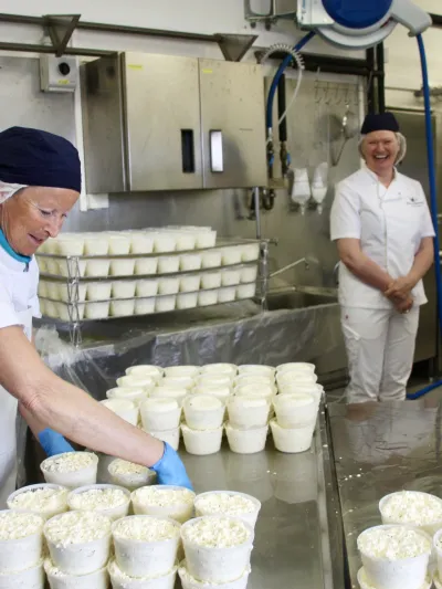 Tre mennesker som smiler og har det gøy, mens de produserer ost