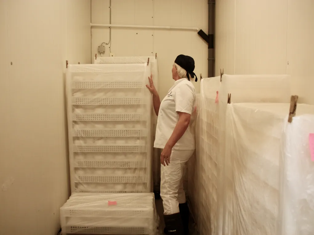 Dame inne på rommet der de lagrer ost