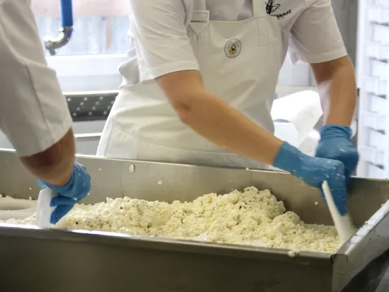 Produksjonen av Ost på himmelspannet i Hemsedal