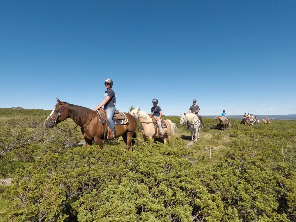 Ridetur i Hemsedal