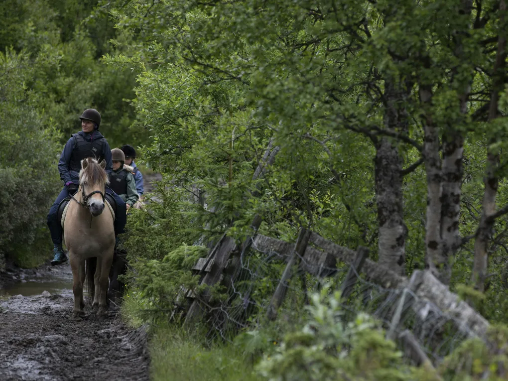 Ridetur i skogen