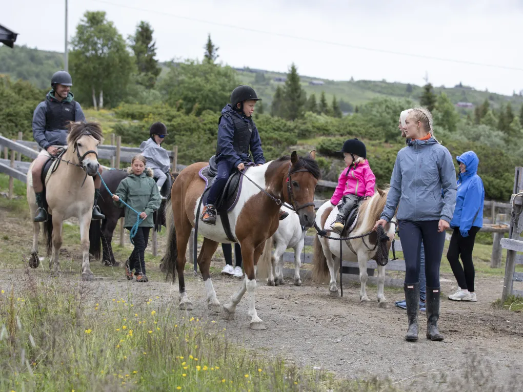 Voksene og barn som er på ridetur i Hemsedal