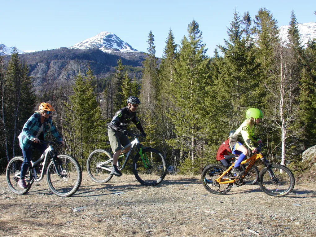 Familie på sykkeltur i Hemsedal