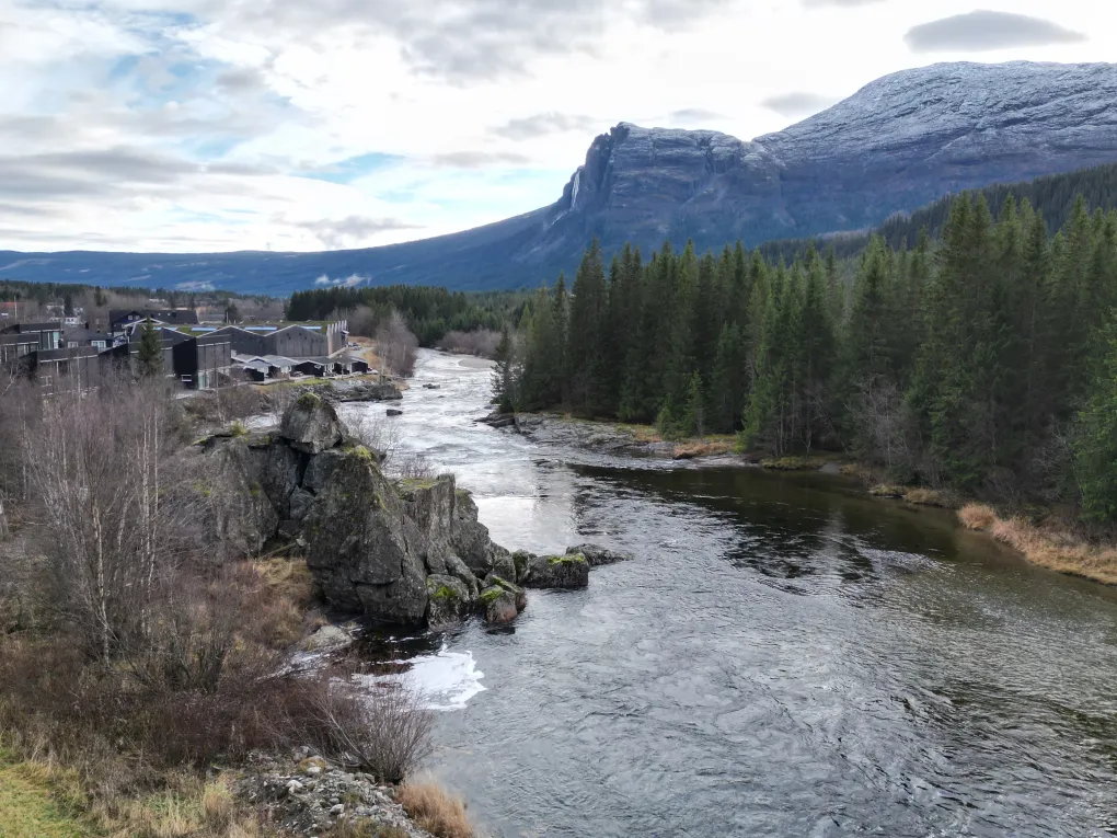 1a8b5446 2148 4b1c a08d d35dcc6512ca