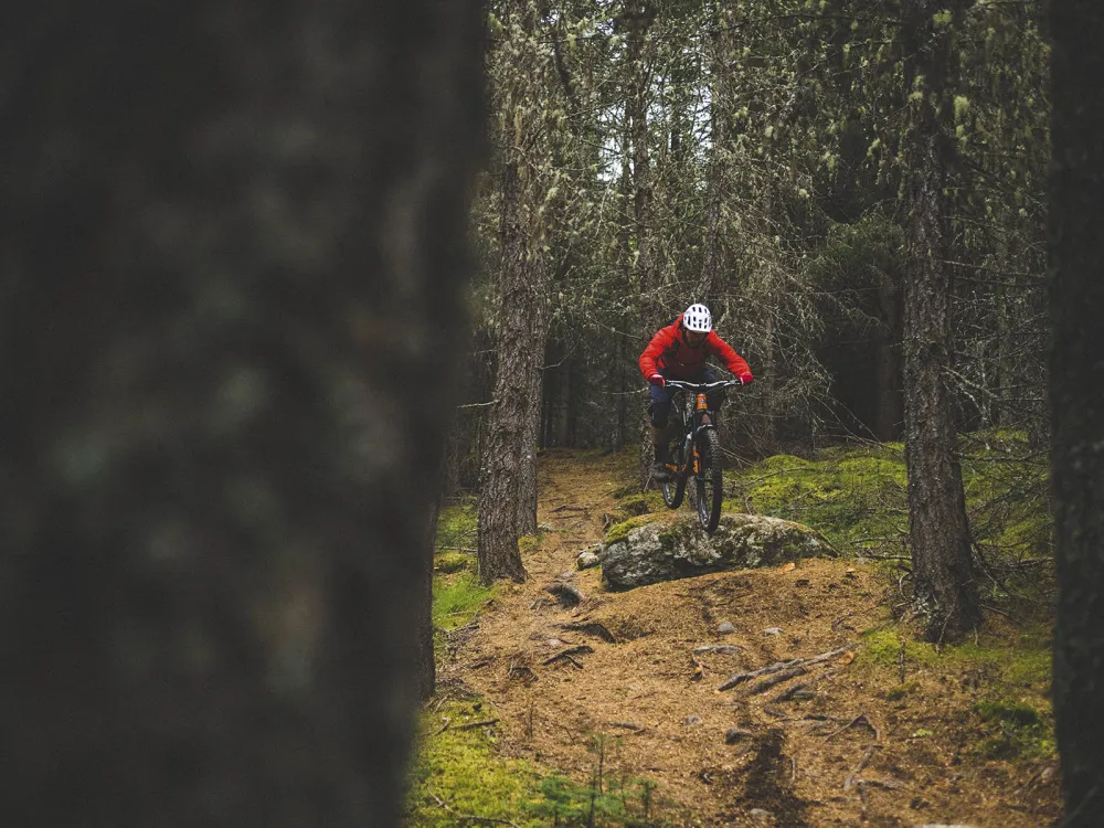 Mann som hopper med sykkel i skogen