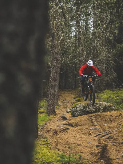 Mann som hopper med sykkel i skogen