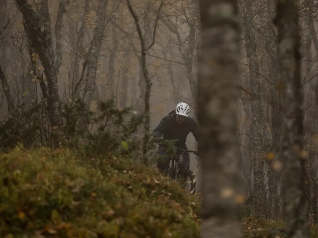 Mann som sykler i tett skog. Tåkete