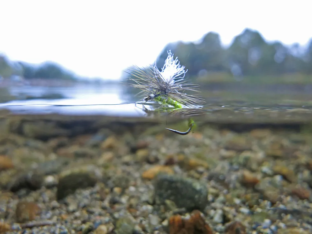 Fluefiske i Hemsedal