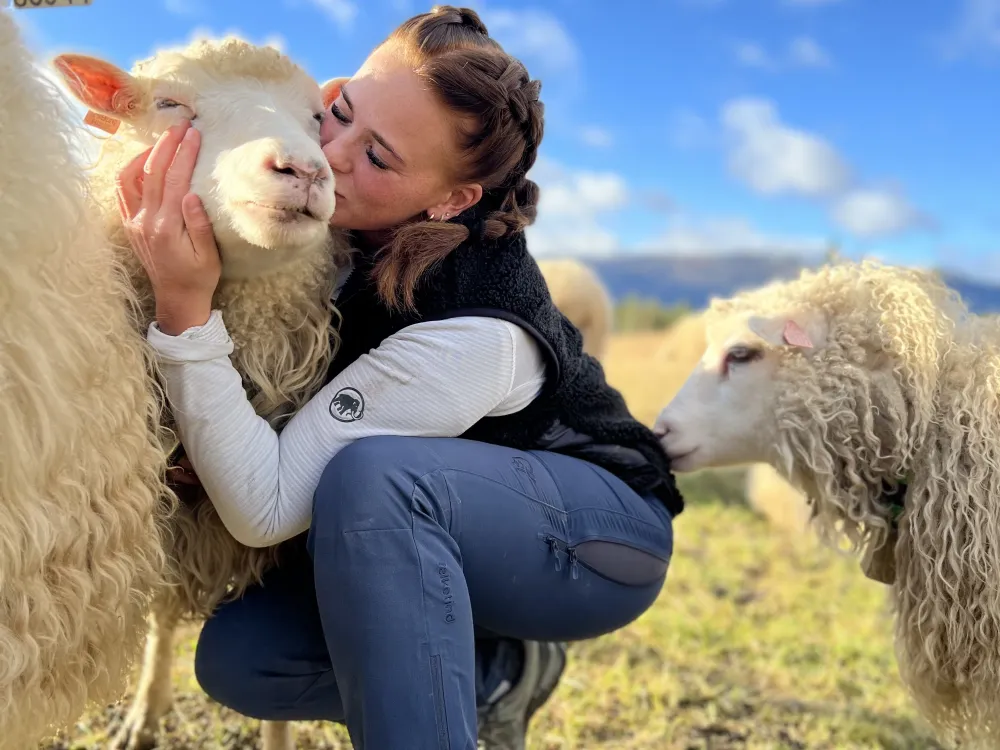 Jente koser med sauer