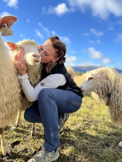 Jente koser med sauer