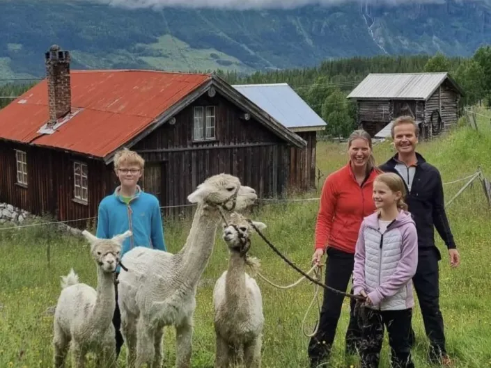 To voksne og to barn leier tre alpakka med hus i bakgrunnen