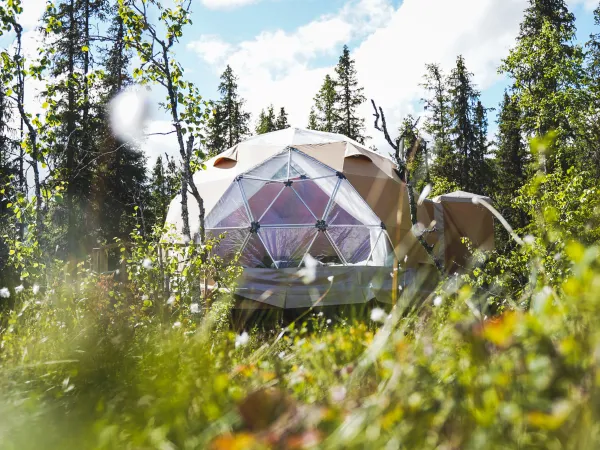 Avstandsbilde av en dome