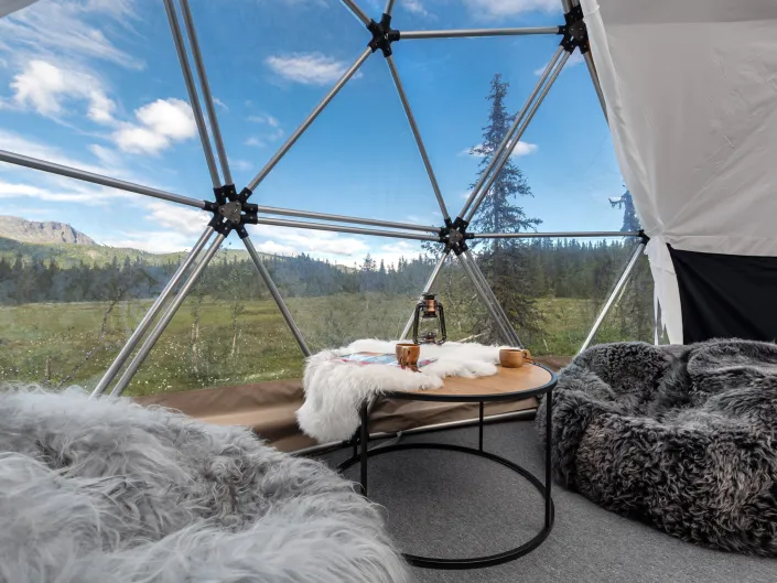 Innsidebilde av Dome