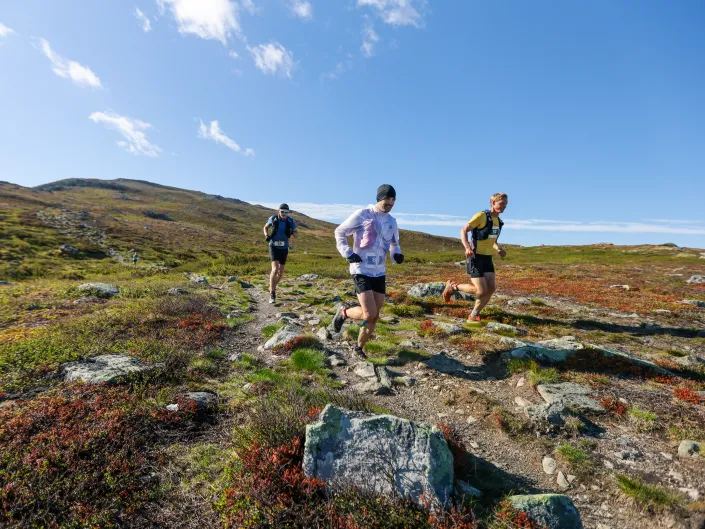 Personer som løper på fjellet