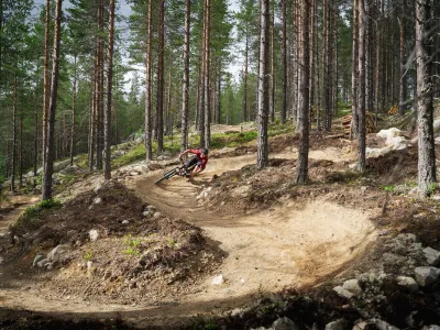 Tyttebærtrøkket Foto Lars Storheim, sykling i skogen.