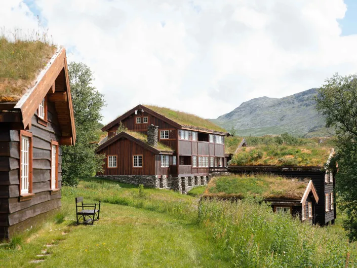 Flere hus med gress på taket