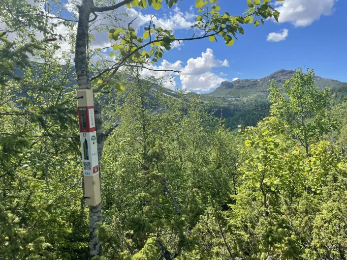 Bilde av stolpe i Stolpejakten