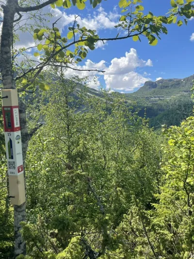 Bilde av stolpe i Stolpejakten