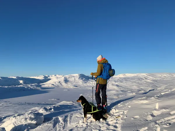 Mann og hund på topptur.