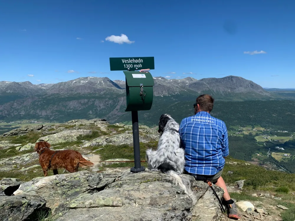 En mann og to hunder på tur i fjellet. I bakgrunnen er det et skilt og en postkasse på toppen av Veslehøden.