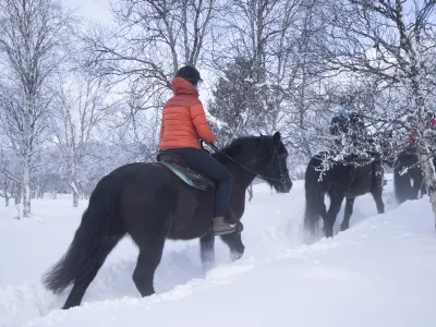 Dame som rir brun hest på vinteren