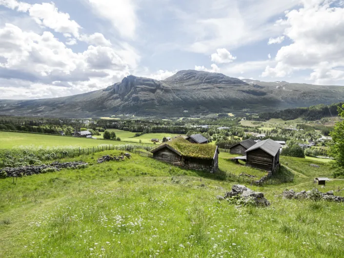 Old houses from Hemsedal