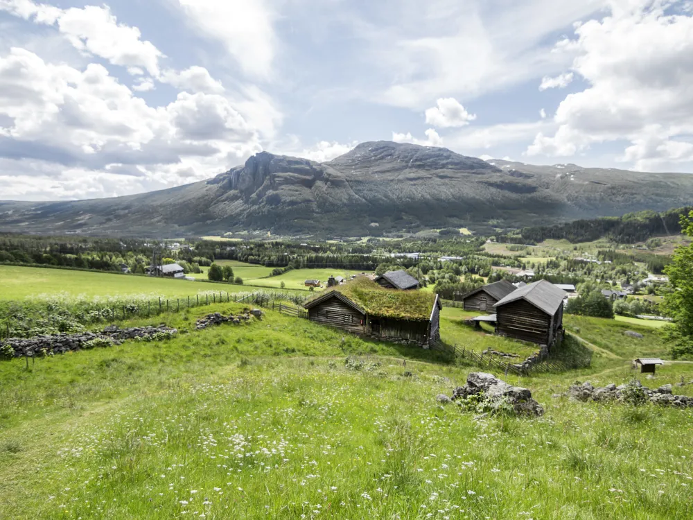 Old houses from Hemsedal