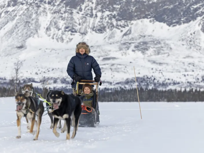 mann og kvinne kjører hundespann på vinteren
