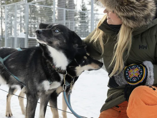 kvinne sitter på huk og klapper to hunder
