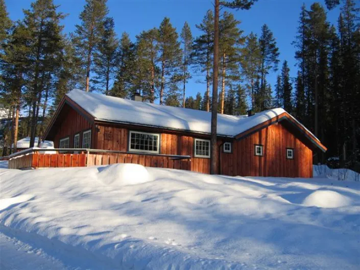 Bilde av en rød hytte i skogen i Hemsedal