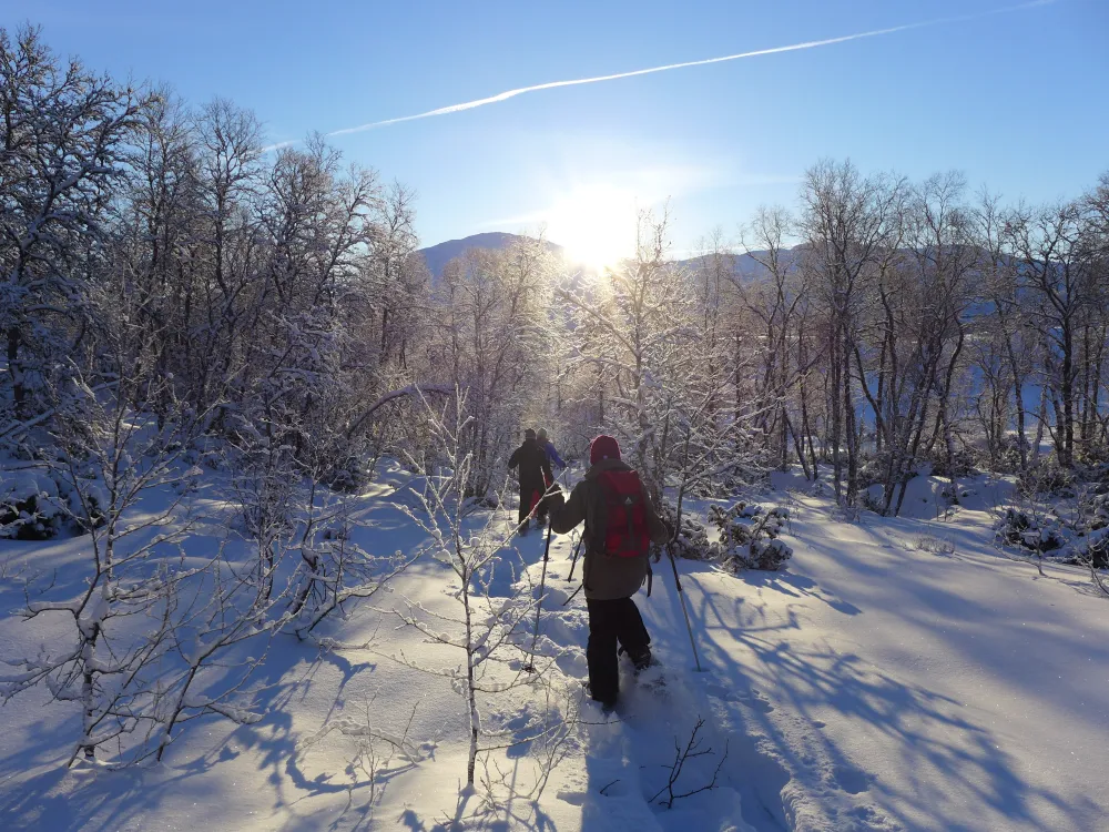 Mennesker som er på truge tur i Hemsedal sin natur