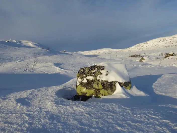 Bilde fra Raudberg i Hemsedal