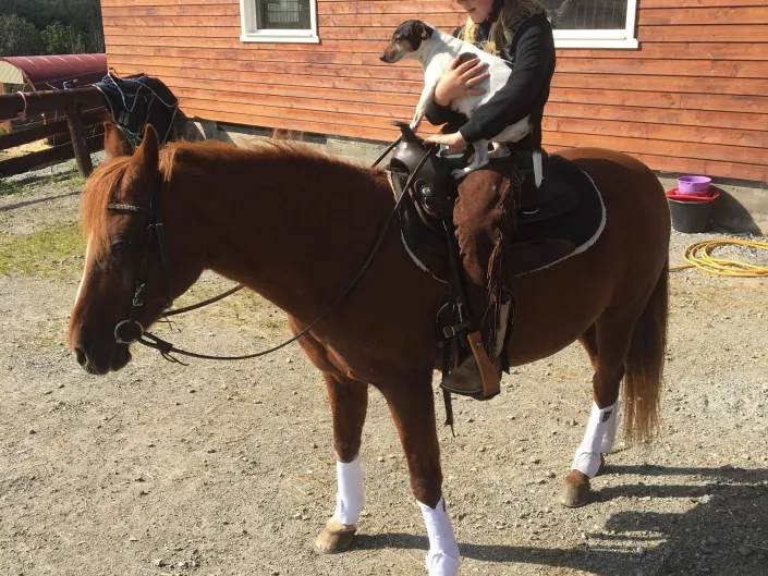 Jente som rir på en brun hest.