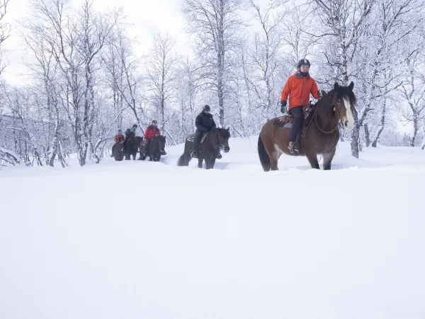 Ridning om vinteren.